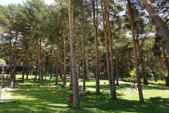 las-berceas-4
