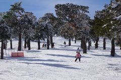 Puerto-de-Navacerrada-9